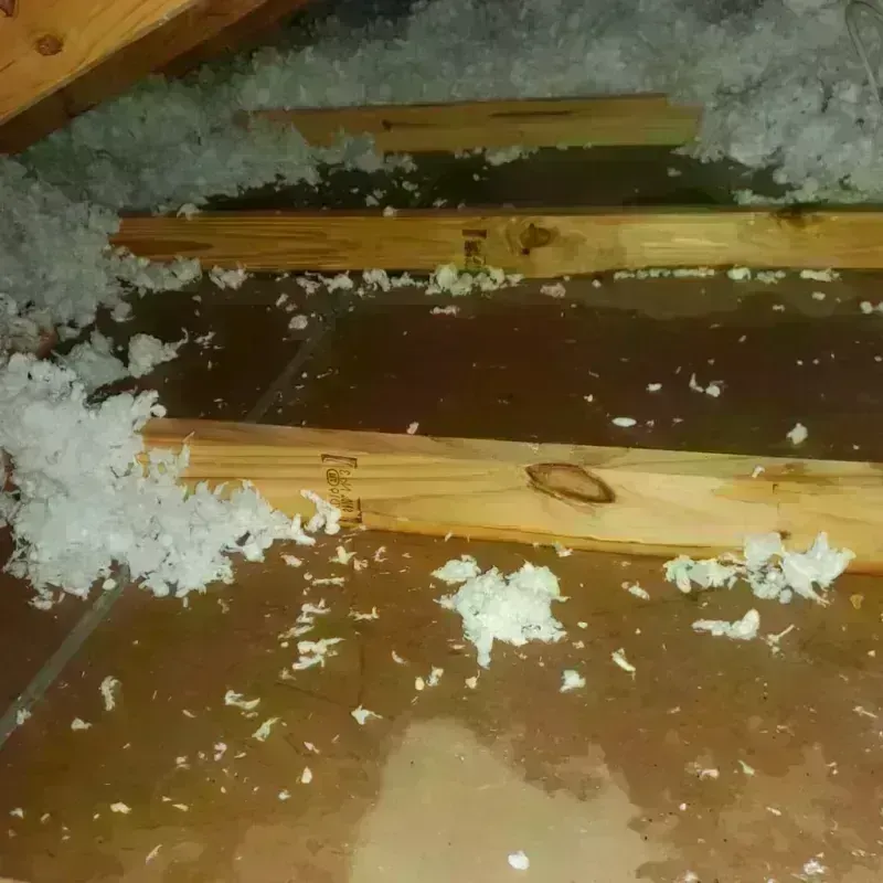 Attic Water Damage in Holliday, TX