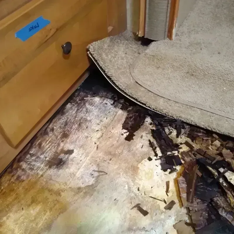 Best Wood Floor Water Damage Service in Holliday, TX